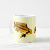 Apistogrammas Zwergbuntbarsch Kaffeetasse (Vorderseite Links)