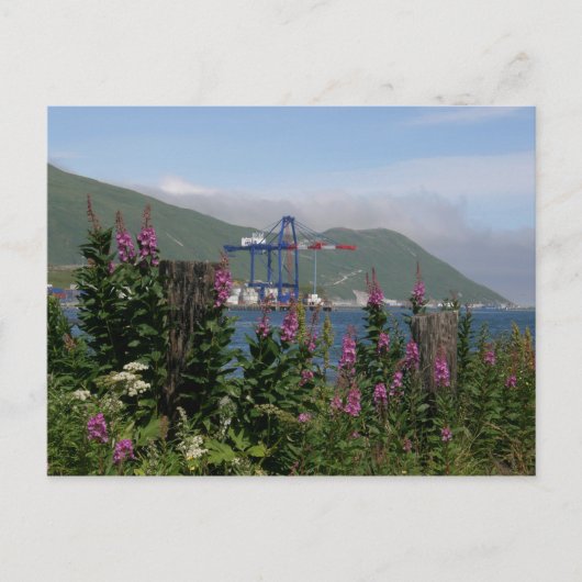 APL Crane im niederländischen Hafen, Alaska Postkarte (Vorderseite)