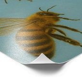 APLICAÇÃO DE FOTO (Ecke)