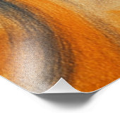 APLICAÇÃO DE FOTO (Ecke)