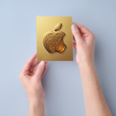 Aplle Flyer (Gruppe)