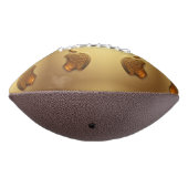 Aplle Football (Gedreht 270)