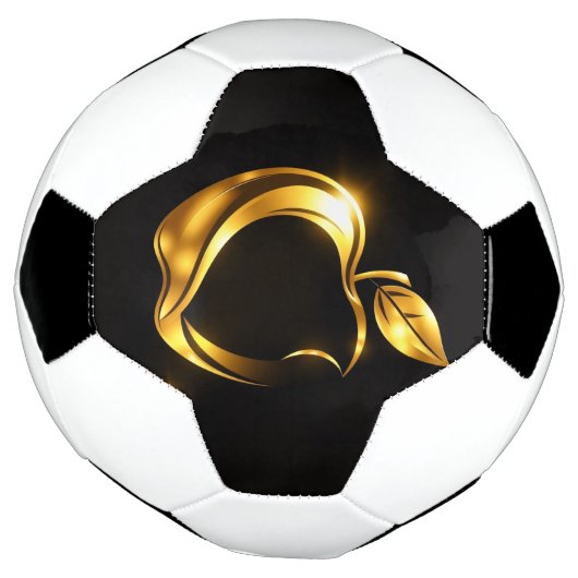 Aplle Fußball (Gedreht)