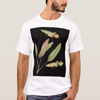 Aplocheilus lineatus und Cryptocoryne-Brille Schwa T-Shirt