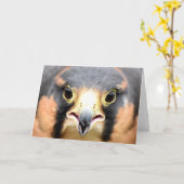 Aplomado Falcon-Foto Karte (Gelbe Blume)