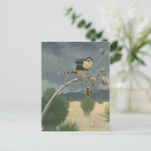 Aplomado Falcon Postkarte (Stehend Vorderseite)