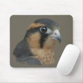 Aplomado Mousepad (Mit Mouse)