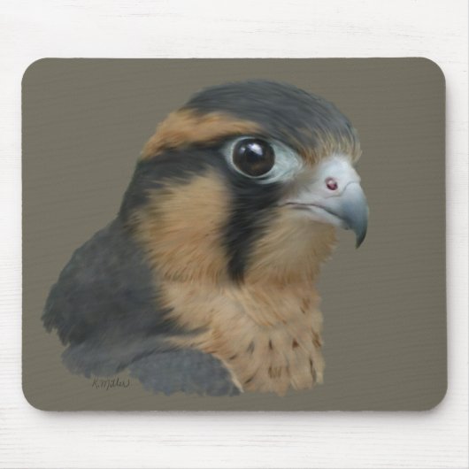 Aplomado Mousepad (Vorne)