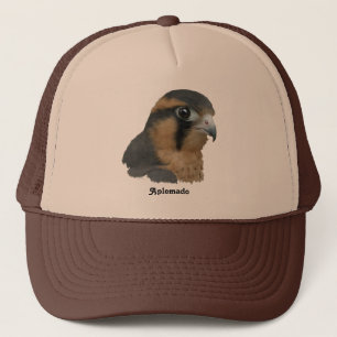 Aplomado Truckerkappe