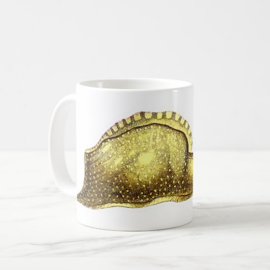 Aplysia fasciata kaffeetasse (Vorderseite Links)