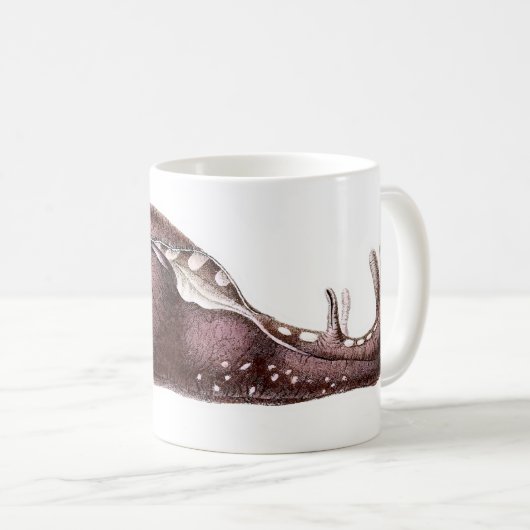 Aplysiainka Kaffeetasse (VorderseiteRechts)