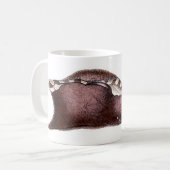 Aplysiainka Kaffeetasse (Vorderseite Links)