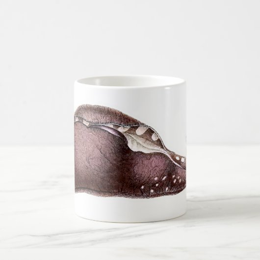 Aplysiainka Kaffeetasse (Mittel)