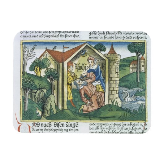 Apocrypha: Tobit is blinded by sparrow's droppings Magnet (Horizontal)