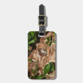 Apodemus sylvaticus gepäckanhänger (Vorderseite vertikal)