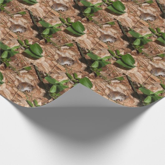 Apodemus sylvaticus geschenkpapier (Ecke)