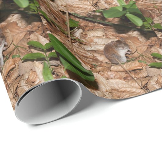 Apodemus sylvaticus geschenkpapier (Rolleneckpunkt)