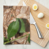 Apodemus sylvaticus küchentuch (Viertel Falte)