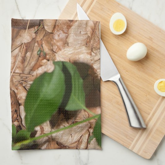 Apodemus sylvaticus küchentuch (Viertel Falte)