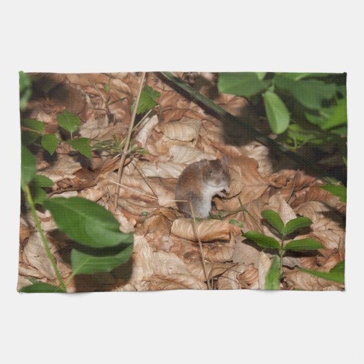 Apodemus sylvaticus küchentuch (Horizontal)