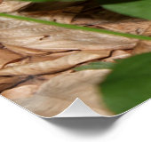 Apodemus sylvaticus poster (Ecke)