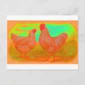 Apokalypse Postkarte (Vorderseite)