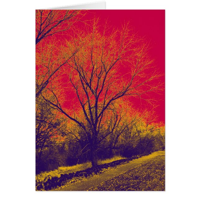 Apokalyptisch (Vorne)