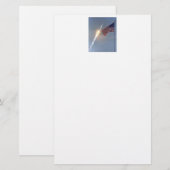 Apollo 11 briefpapier (Vorne/Hinten)