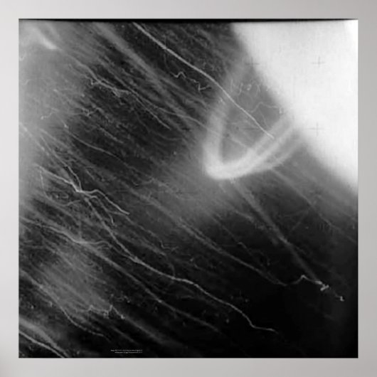 Apollo 15's Top Secret Shot Poster (Vorne)