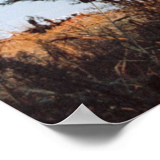 Apollo 16 Rollout Poster (Ecke)