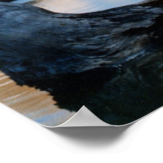 Apollo 16 Start Poster (Ecke)