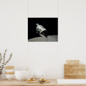 Apollo 17-Befehlsmodul Poster (Küche)