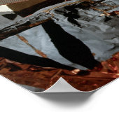 Apollo 17 Mondmodul "Challenger" & Erde Poster (Ecke)