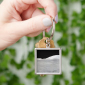 Apollo 17 Panorama Schlüsselanhänger (Hand)