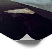 Apollo 9-Befehlsmodul, dotiert mit Lunar-Modul Poster (Ecke)