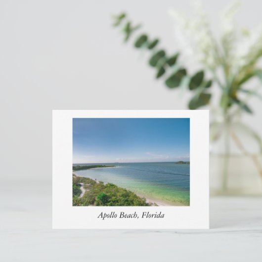 Apollo Beach Florida Postkarte (Stehend Vorderseite)