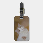 Apollo der türkische Van-Gepäckanhänger Gepäckanhänger (Vorderseite vertikal)