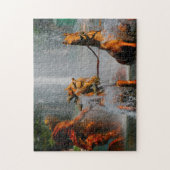 Apollo Fountain Paris. Puzzle (Vertikal)