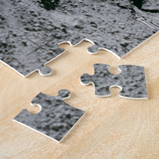 Apollo Moon Landung  Puzzle (Seite)