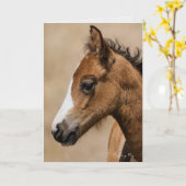 Apollo-Oregon-Mustang Karte (Gelbe Blume)