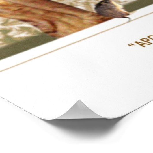 APOLLO POSTER (Ecke)