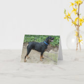 Apollo Rottweiler Grußkarte Karte (Gelbe Blume)
