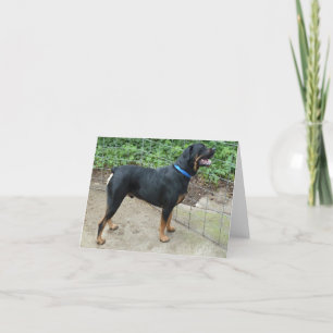 Apollo Rottweiler Grußkarte Karte