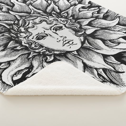 Apollo-Sonnengott Schwarzweiss Sherpadecke (3/4)