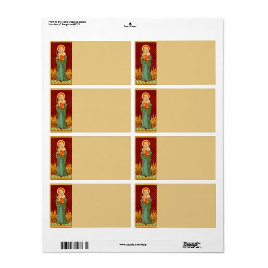 Apollonia (VVP 001) (Vorne)