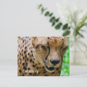 Apologetic Cheetah Postkarte (Stehend Vorderseite)