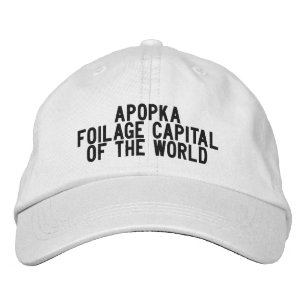 APOPKA Florida Hut