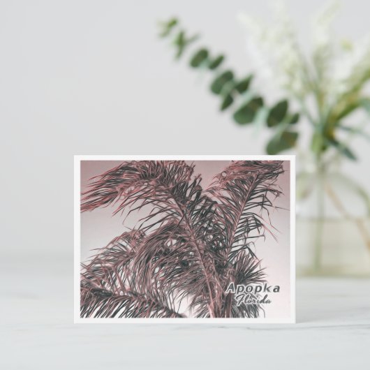 APOPKA FLORIDA POSTKARTE (Stehend Vorderseite)