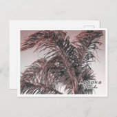 APOPKA FLORIDA POSTKARTE (Vorne/Hinten)