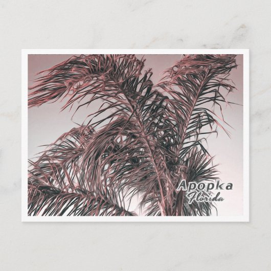 APOPKA FLORIDA POSTKARTE (Vorderseite)